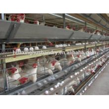 Hot selling Huaxing factory battery chicken cage for sale